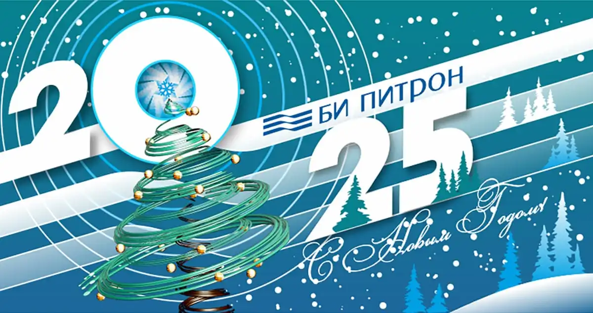 Поздравляем Вас с наступающим 2025 годом!
